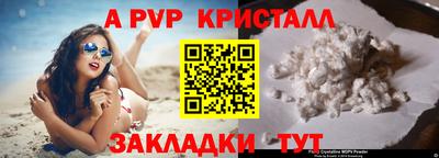 ешки Ставрополь